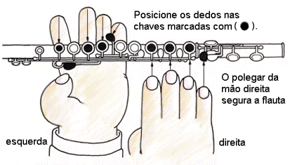 Posição dos Dedos para Flauta Transversal