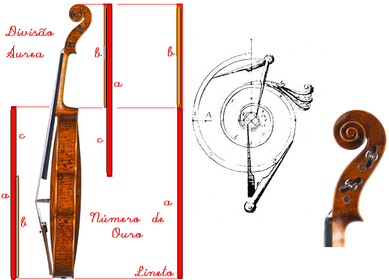 Segmento Áureo Aplicado à Construção de Violoncelos, Violinos