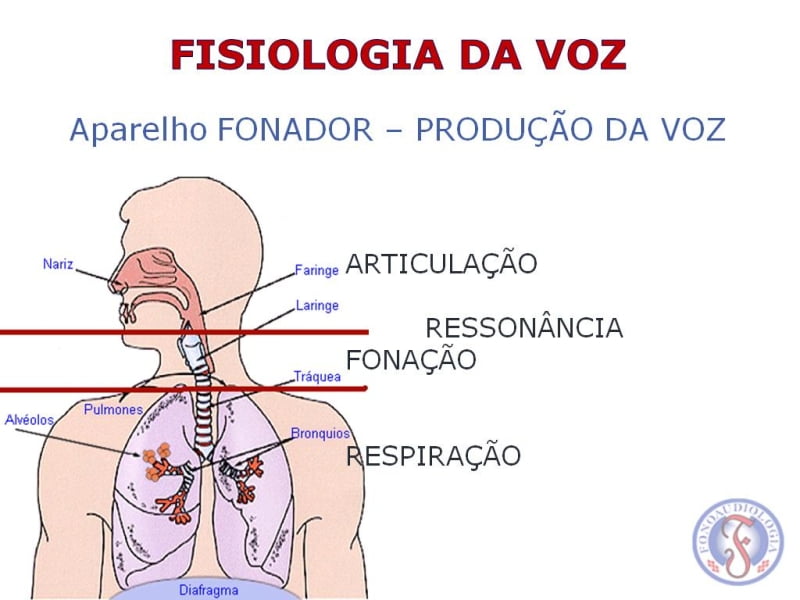 Técnica Vocal e Fisiologia da Voz