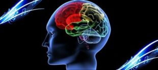 Como a Música é Percebida e Afeta o Corpo