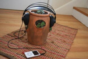 Efeitos da Música Sobre Plantas e Animais