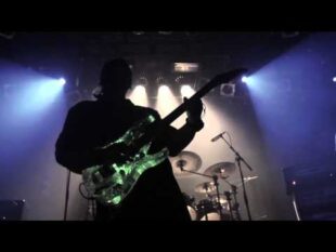 Heavy Metal Afugenta Besouros e os Deixa Furiosos
