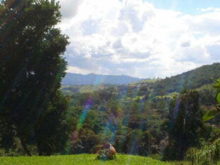 Nossos Pais Adoravam Nesse Monte…