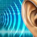 De 20 a 20.000 Hz – Os Limites da Audição Humana