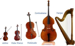 Instrumentos de Cordas