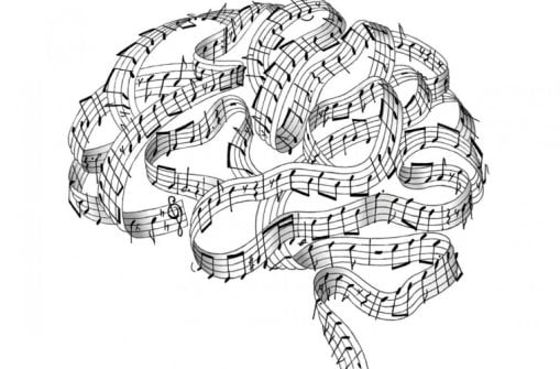 Música, Cérebro e Êxtase, PDF, Orelha