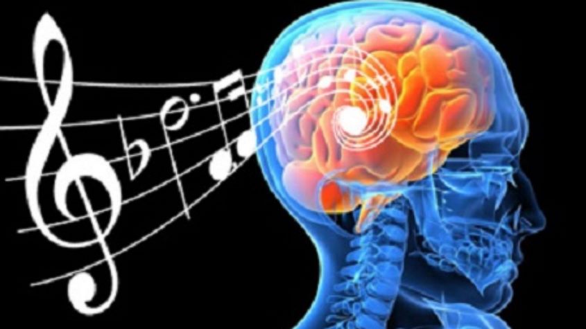A Música por uma Óptica Neurocientífica
